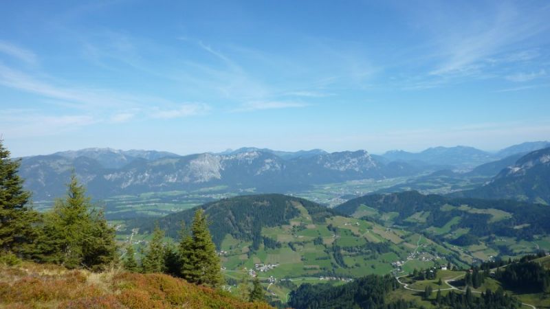 Wanderurlaub im Juni in Tirol